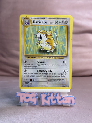 Raticate - 67/108 - XY Evolutions - Non-Holo - Pokémon - LP - TCGKITTEN