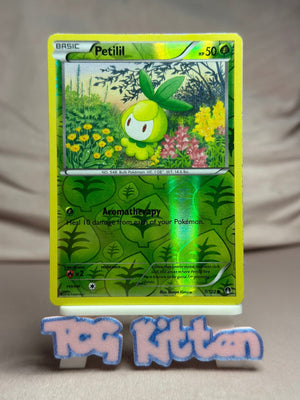 Petilil - 7/122 Common Reverse Holo XY - BREAKpoint MP Pokémon TCGKITTEN