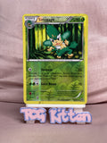 Load image into Gallery viewer, Simisage - 11/146 - Rare Reverse Holo MP - XY Base - Pokemon - TCGKITTEN