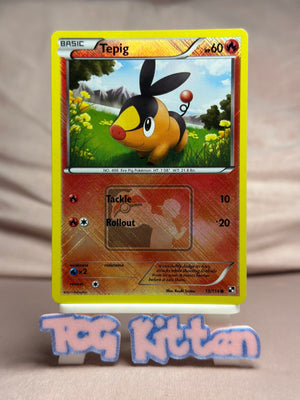 Tepig - 15/114 (League Promo) - Reverse Holo Championship NM Pokémon TCGKITTEN