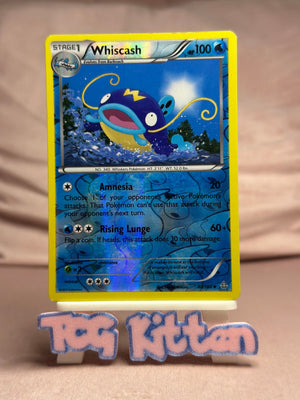 Whiscash - 40/160 Reverse Holo XY - Primal Clash MP Pokémon TCGKITTEN