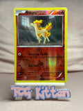 Load image into Gallery viewer, Ponyta - 16/114 Reverse Holo XY - Steam Siege MP Pokémon TCGKITTEN