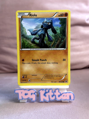 Riolu (46) 46/124 Common XY - Fates Collide MP - TCGKITTEN