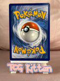 Load image into Gallery viewer, Tornadus V 124/198 Chilling Reign TCGKITTEN