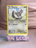 Load image into Gallery viewer, Minccino (87) 87/124 Common XY - Fates Collide MP - TCGKITTEN