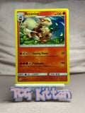 Load image into Gallery viewer, Arcanine - 22/149 Holo Rare SM Base Set MP Pokémon TCGKITTEN