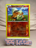 Load image into Gallery viewer, Growlithe - 10/122 Reverse Holo XY - BREAKpoint MP Pokémon TCGKITTEN