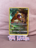 Load image into Gallery viewer, Bidoof - GG29/GG70 - Crown Zenith - Galarian Gallery - Rare Pokemon - TCGKITTEN