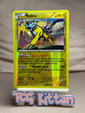 Load image into Gallery viewer, Raikou - 55/162 Holo Rare Reverse Holo XY - BREAKthrough MP Pokémon TCGKITTEN
