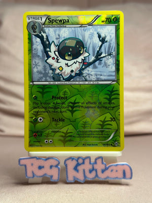 Spewpa - 14/162 Reverse Holo XY - BREAKthrough MP Pokémon TCGKITTEN