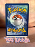 Load image into Gallery viewer, Heliolisk 229/217 Illustration Rare Ascended Heroes TCGKITTEN