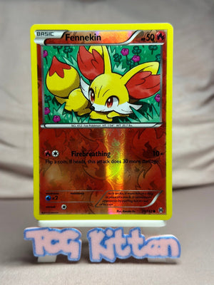 Fennekin - 25/162 Common Reverse Holo XY - BREAKthrough MP Pokémon TCGKITTEN