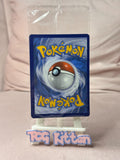 Load image into Gallery viewer, *SEALED* Professor's Research SWSH152 Juniper - Black Star Promo  -  TCGKITTEN
