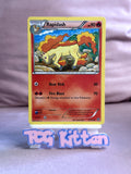 Load image into Gallery viewer, Rapidash 17/114 Uncommon XY - Steam Siege MP - TCGKITTEN