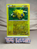 Load image into Gallery viewer, Joltik - 41/114 Reverse Holo XY - Steam Siege MP Pokémon TCGKITTEN