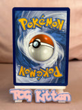 Load image into Gallery viewer, Professor Turo's Scenario 240/182 Ultra Rare - Pokémon - Paradox Rift -TCGKITTEN