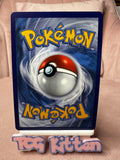 Load image into Gallery viewer, Torkoal V 024/202 - Ultra Rare - Sword &amp; Shield - Pokemon - TCGKITTEN