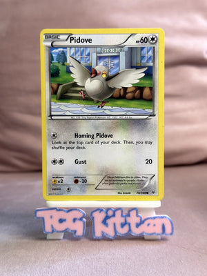 Pidove 78/108 Common XY - Roaring Skies MP - TCGKITTEN