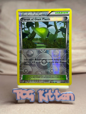 Forest of Giant Plants - 74/98 Reverse Holo Ancient Origins MP Pokémon TCGKITTEN