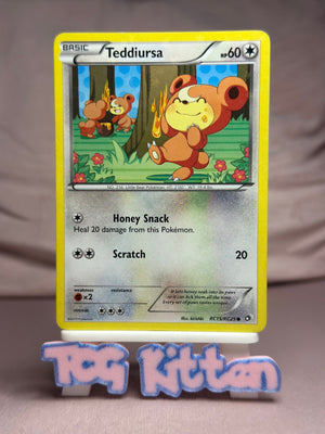 Teddiursa - RC15/RC25 Holo Legendary Treasures: Radiant Collection MP TCGKITTEN