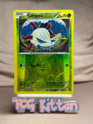 Larvesta - 14/114 Common Reverse Holo XY - Steam Siege MP Pokémon TCGKITTEN