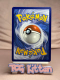 Load image into Gallery viewer, Squawkabilly ex - 223/091 Shiny Ultra Rare Holo Paldean Fates Pokémon TCGKITTEN