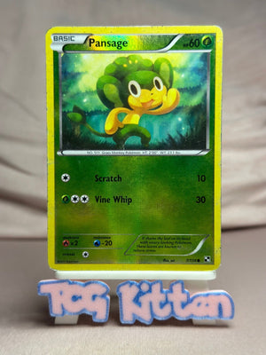 Pansage - 7/114 Reverse Holo Black and White MP Pokémon TCGKITTEN