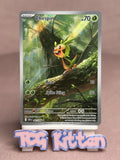 Load image into Gallery viewer, Chespin - 087/086 - Holo Illustration Rare - Chaos Rising Pokemon - TCGKITTEN