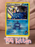 Load image into Gallery viewer, Team Aqua’s Walrein 5/34 Holo Rare XY Double Crisis TCGKITTEN