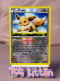 Load image into Gallery viewer, Eevee - 80/111 - Reverse Holo - XY: Furious Fists NM TCGKITTEN