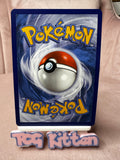 Load image into Gallery viewer, Squawkabilly ex 075/091 - Double Rare - Paldean Fates - Pokemon - TCGKITTEN