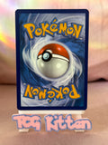 Load image into Gallery viewer, Garchomp ex 260/182 Paradox Rift Hyper Rare Gold TCGKITTEN