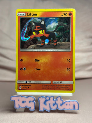 Litten - 24/149 Reverse Holo SM Base Set MP Pokémon TCGKITTEN
