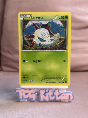 Larvesta 14/114 Common | Steam Siege | Pokemon - LP - TCGKITTEN