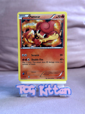 Pansear 19/135 Common Plasma Storm MP - TCGKITTEN